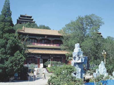 �t�����L���D