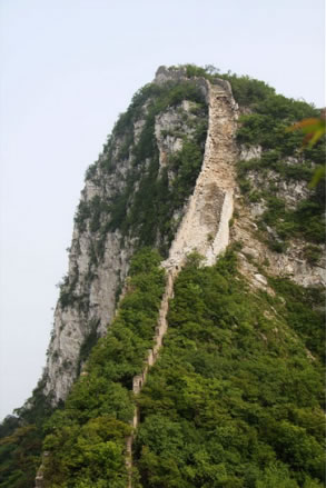 Ľ�����L(zh��ng)���L(f��ng)���D