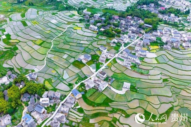 �����F��л�Ϫ�^(q��)��������������W(w��ng)ӛ�� Ϳ���z